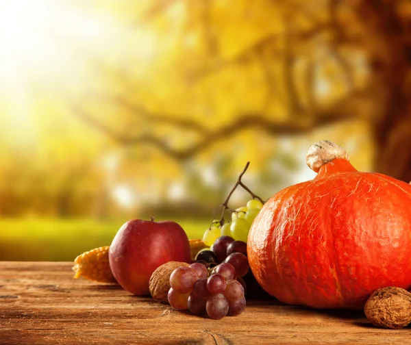Meyve ve sebze Wood sonbaharda hasat — Stok fotoğraf