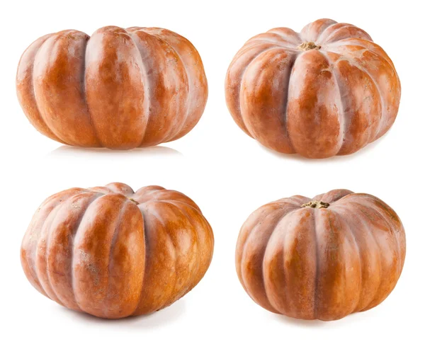 Pumpkin collection isolated on white backgroun — Stock Photo, Image