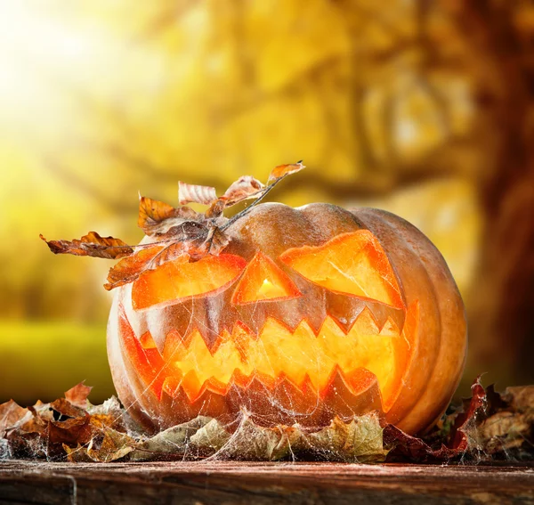 Abóbora hallowen assustador na madeira — Fotografia de Stock