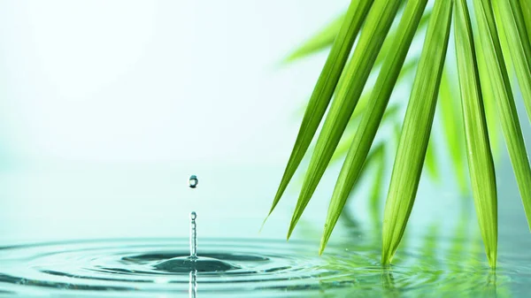 Fondo Spa Bienestar Con Agua Hojas Escena Tranquila Con Espacio —  Fotos de Stock