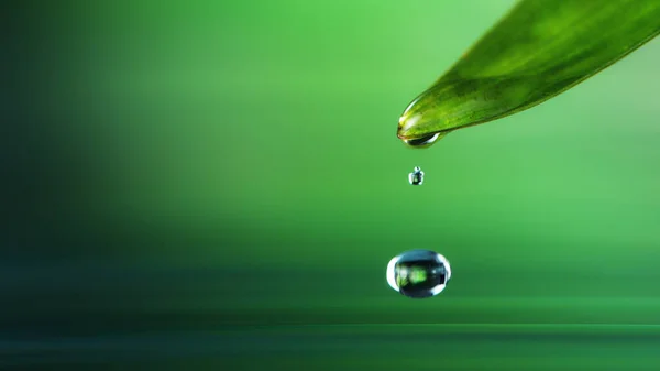 Fondo Spa Bienestar Con Agua Hojas Escena Tranquila Con Espacio —  Fotos de Stock