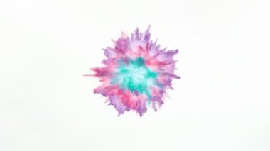 Beyaz arka planda izole edilmiş süper yavaş renkli barut patlaması. Yüksek hızlı sinema kamerası, 1000fps.