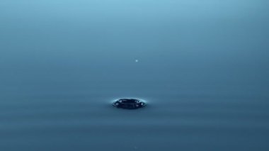 Damlayan su damlasının süper yavaş çekim gücü makro mercekle filme alınır. Yüksek hızlı sinema kamerası, 1000fps.