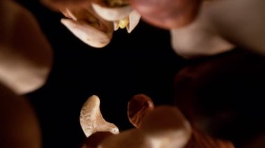 Düşen fındıkların süper yavaş çekimi, geniş süper makro çekim. Siyah arka planda izole edilmiş. Yüksek hızlı sinema kamerası, 1000fps.