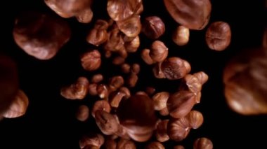 Düşen fındıkların süper yavaş çekimi, geniş süper makro çekim. Siyah arka planda izole edilmiş. Yüksek hızlı sinema kamerası, 1000fps.