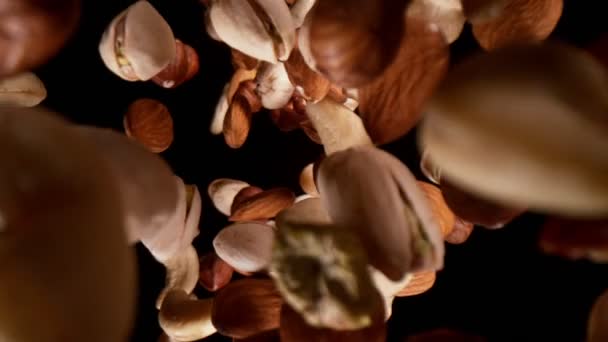 Super Slow Motion Falling Hazelnuts Wide Super Macro Shot Isolated — Stock Video