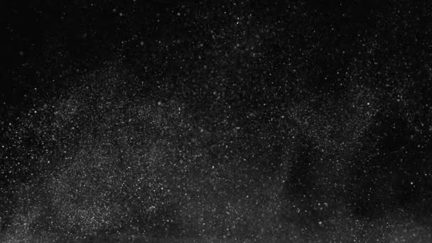 Szuper Lassított Felvétel Csillogó Fehér Részecskékről Fekete Háttérrel Sekély Fókusz — Stock videók