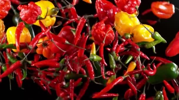 Szuper Lassított Felvétel Repülő Különböző Chili Paprika Stúdió Felvétel Tiszta — Stock videók