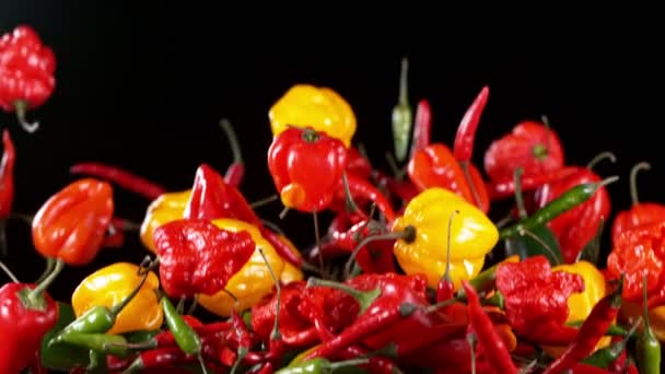 Super Slow Motion Flying Various Kinds Chilli Peppers Studio Shot — Stock Video