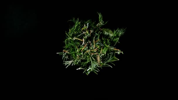 超慢运动新鲜的旋转草本植物在黑色背景 极端现实的旋转运动 用高速摄像机拍摄 每秒1000英尺 — 图库视频影像