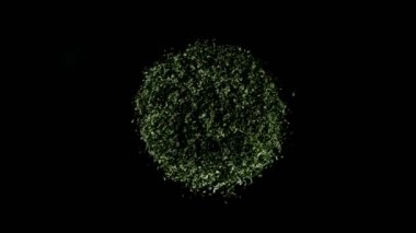 Maydanozun ya da baharatın dönüşümlü süper yavaş çekimi. Son derece gerçekçi hortum hareketi, stüdyo çekimi. Yüksek hızlı sinema kamerası, 1000 fps.