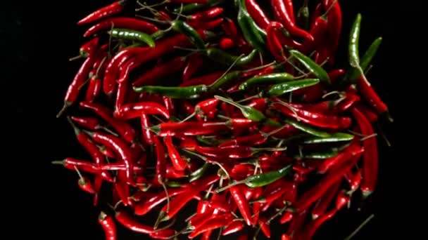 Super Slow Motion Peperoncino Piccante Colorato Volante Isolato Sfondo Nero — Video Stock