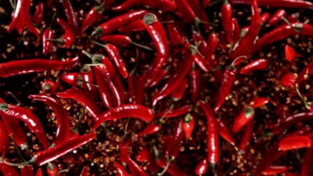 Super Slow Motion Flying Red Hot Chilli Peppers Isolated Black — Vídeo de stock