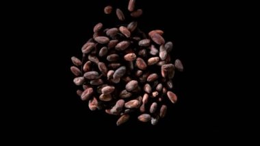 Dönüşümlü uçuşan kakao çekirdekleri çok yavaş hareket ediyor. Yüksek hızlı sinema kamerası, 1000fps.