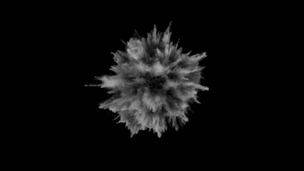 超慢速运动的白色粉末爆炸隔绝在黑色背景下 用高速摄像机拍摄 每秒1000英尺 — 图库视频影像