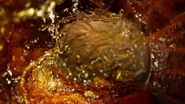 Szuper Lassított Felvétel Whiskey Rum Vagy Konyak Öntéséről Hordóban Nagysebességű — Stock videók