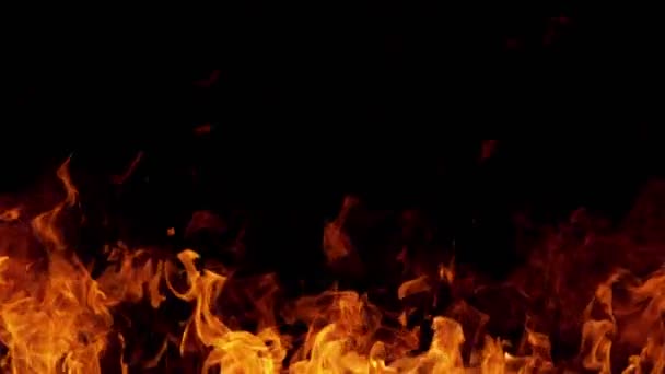 Szuper Lassított Felvétel Fekete Háttérben Izolált Tűzrobbanásról Nagy Sebességű Mozi — Stock videók