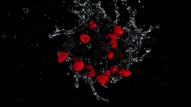 超慢的旋转浆果水果与泼洒水 黑色背景 用高速摄像机拍摄 每秒1000帧 速度斜坡效应 — 图库视频影像