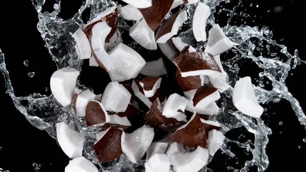 Freeze Motion Coconuts Water Splash Isolated Black Background — Stock Photo, Image