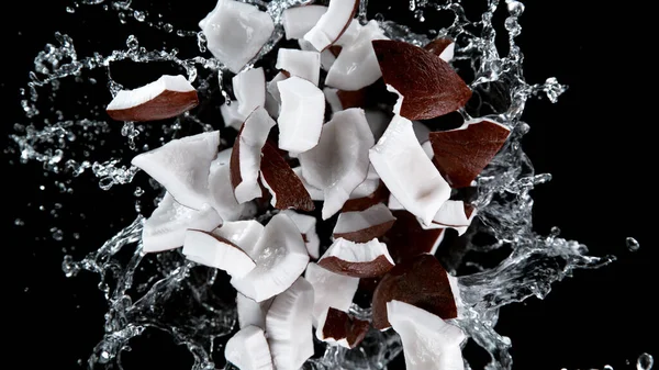 Freeze Motion Coconuts Water Splash Isolated Black Background — Stock Photo, Image