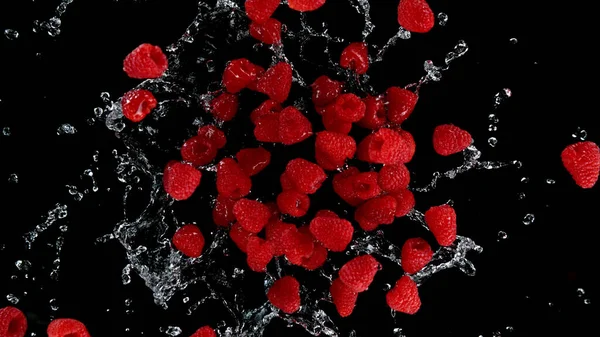 Freeze Motion Raspberries Water Splash Isolated Black Background — Stock Photo, Image
