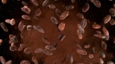 Kavrulmuş kakao çekirdeklerinin havada uçuşması çok yavaş bir hareket. Yüksek hızlı sinema kamerasıyla çekildi, 1000fps. Hız rampası etkisi.