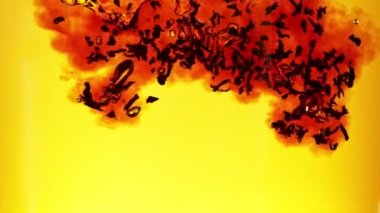 Suya siyah çay koymanın çok yavaş bir yolu. Altın arka planda izole edilmiş. Yüksek hızlı sinema kamerası, 1000fps.