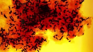 Suya siyah çay koymanın çok yavaş bir yolu. Altın arka planda izole edilmiş. Yüksek hızlı sinema kamerasıyla çekildi, 1000fps. Hız rampası etkisi.