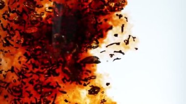 Suya siyah çay koymanın çok yavaş bir yolu. Beyaz arka planda izole edilmiş. Yüksek hızlı sinema kamerasıyla çekildi, 1000fps. Hız rampası etkisi.