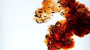 Suya siyah çay koymanın çok yavaş bir yolu. Beyaz arka planda izole edilmiş. Yüksek hızlı sinema kamerası, 1000fps.