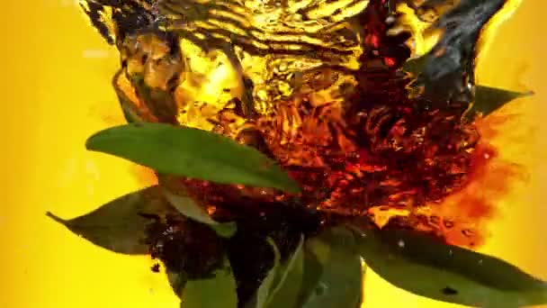 将红茶倒入水中的超级慢动作 新鲜的绿叶和干茶混合在一起 用高速摄像机拍摄 每秒1000英尺 — 图库视频影像
