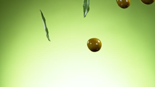 느릿느릿 움직이는 올리브 열매들 카메라로 촬영됨 1000Fps — 비디오