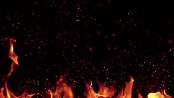 超慢运动的火焰隔离在黑色背景 用高速摄像机拍摄 每秒1000英尺 — 图库视频影像