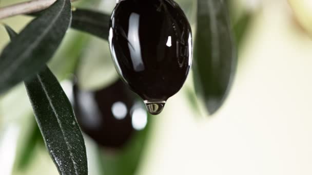 Super Slow Motion Dripping Oil Drop Black Olive Concept Pressed — Video