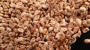 Siyah arka planda yer fıstığı üflemenin süper yavaş çekimi. Yüksek hızlı sinema kamerası, 1000 fps..