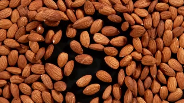 Super Slow Motion Blowing Almonds Black Background Filmed High Speed — Stock Video