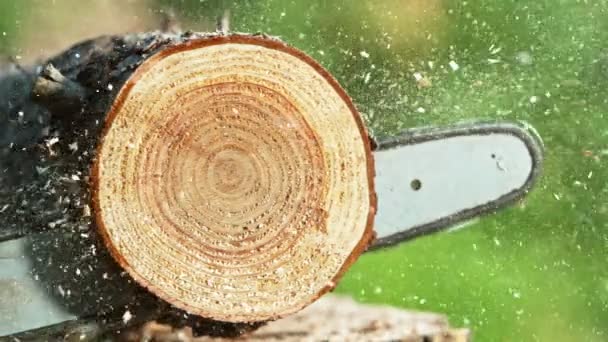 Super Slow Motion Chainsaw Cutting Wooden Log Filmed High Speed — Stock Video