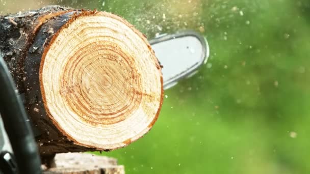 チェーンソーの超遅い動きは 木製のログを切断した 高速フィルムカメラで撮影しました — ストック動画