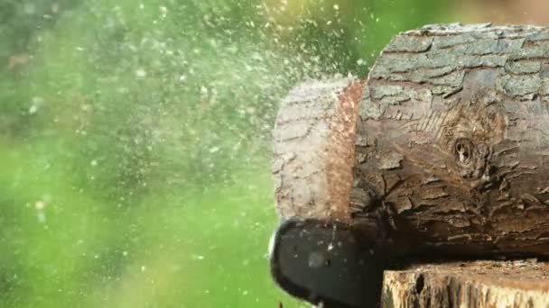 Mouvement Super Lent Tronçonneuse Couper Bûche Bois Filmé Sur Caméra — Video