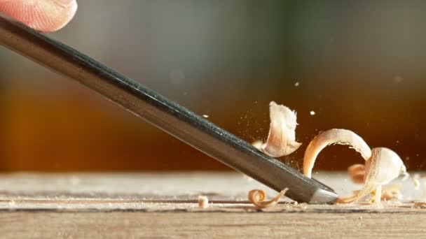 Super Slow Motion Detail Carving Wood Chisel Low Depth Focus — Vídeo de stock