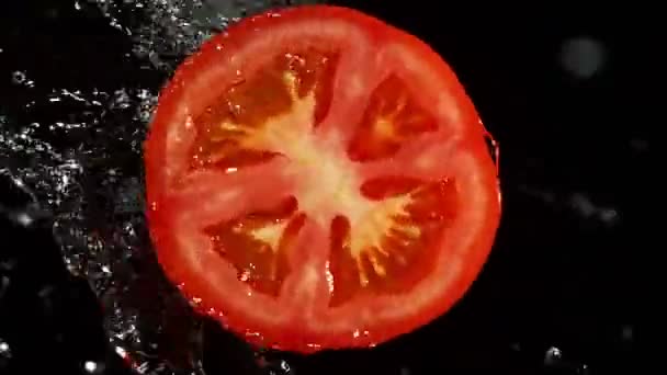 Super Slow Motion Tomato Slice Water Splashes Rotating Slice Tomato — Stockvideo