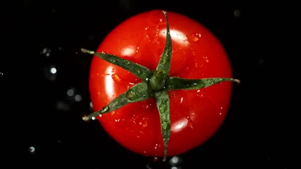 Super Slow Motion Tomato Water Splashes Rotation Tomato Splashing Water — Video Stock