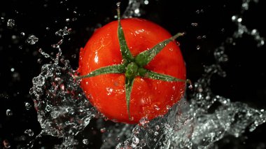 Siyah arka planda su sıçraması olan bir domates. İzole stüdyo çekimi, taze sebze arka planı..