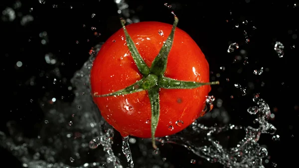 Whole Tomato Water Splashes Black Background Isolated Studio Shot Fresh — Foto de Stock