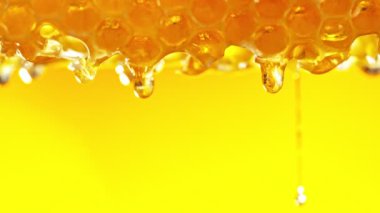 Altın arka plandaki bal peteğinden damlayan bal süper yavaş çekimde. Kamera hareket halinde. Yüksek hızlı sinema kamerası, 1000 fps..