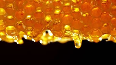 Siyah arka plandaki bal peteğinden bal damlayan süper yavaş çekim. Kamera hareket halinde. Yüksek hızlı sinema kamerası, 1000 fps..