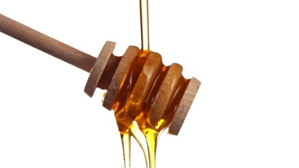 Super Slow Motion Dripping Honey Honey Dipper White Background Filmed — Stock Video