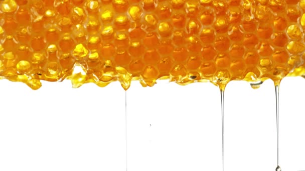 Super Slow Motion Van Druppelende Honing Van Honingraat Witte Achtergrond — Stockvideo