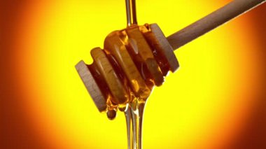 Altın arka planda bal damlatan balın süper yavaş akışı. Yüksek hızlı sinema kamerası, 1000 fps..