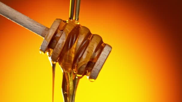 Super Slow Motion Dripping Honey Honey Dipper Gold Background Filmed — Stock Video